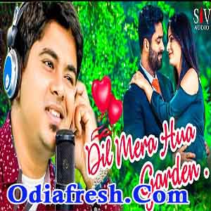 Dil Mera Hua Garden,Odia Dance Song by Tariq Aziz